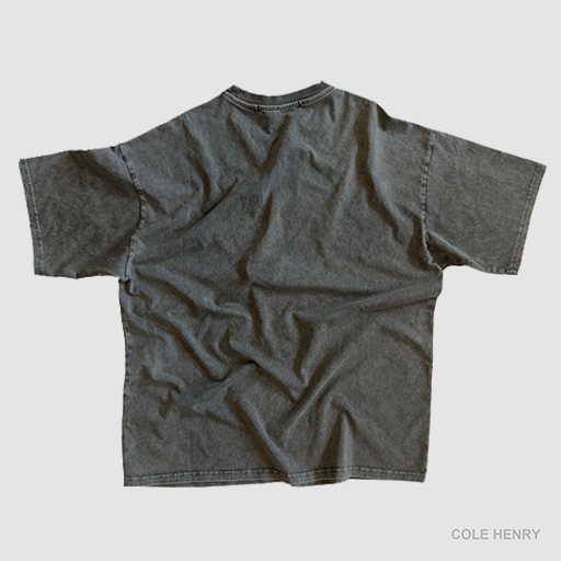 Blank Tee Ash - Second Image